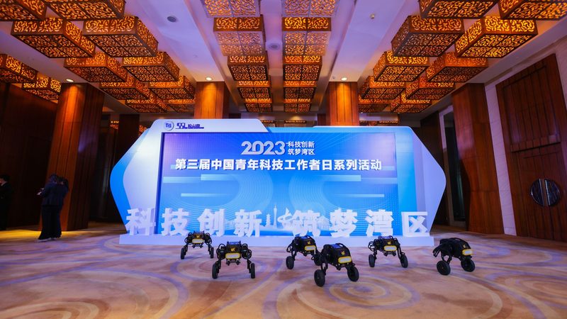 数据安全合规：企业如何筑牢信息防线
